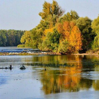 Логотип @tetkino_kommentary - Теткино / Глушково / Коренево / Рыльск / Суджа / Льгов / Курчатов / Курск. Комментарии районов