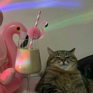 Логотип @tetradyshka - Тетрадь добра | обои | стикеры | юмор | приколы😇