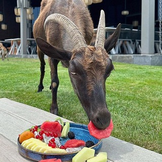 Логотип @tetyamotya - Tetyamotya