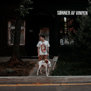 Логотип @tevtara - Tevtara | Массаж собак