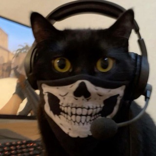 Логотип @tfndrn - кучерява хата