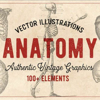 Логотип @tg_anatomy - Anatomy