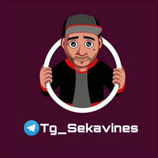 Логотип @tg_sekavines - Sekavines🐼