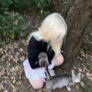 Логотип @tg_wwex - frag