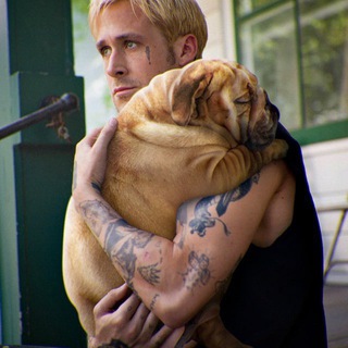 Логотип @tgadmin_life - Жизнь админа