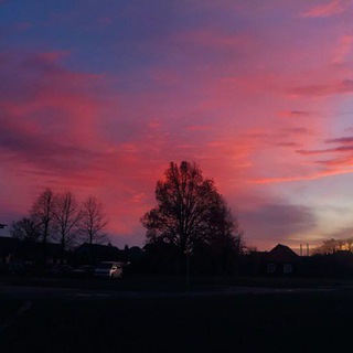 Логотип @tgmyrmeow - Саморазвитие ✨