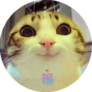 Логотип @tgnini9595 - 台灣老司機入口（暗黑界