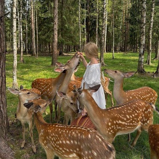 Логотип @thatwq - ᴛhᴀᴛ girl |ʍᴏᴛиʙᴀция