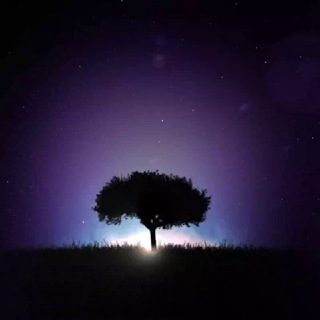 Логотип @the_4etkiy_zoj - 4ëткий ЗОЖ