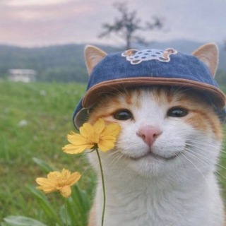 Логотип @the_abmike - Я ел суп и бегал по лесу