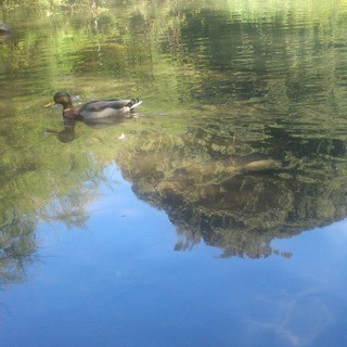 Логотип @the_conclusions - Повод для вывода