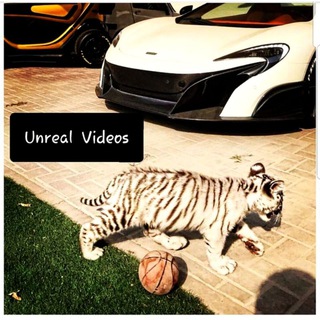 Логотип @the_coolest_videos - 𝓒𝓸𝓸𝓵 𝓥𝓲𝓭𝓮𝓸𝓼 ( 𝓖𝓻𝓸𝓾𝓹 )