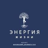 Логотип @the_energy_of_l1fe - Энергия Жизни
