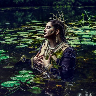 Логотип @the_foxs_game - Лисы и ролевые игры