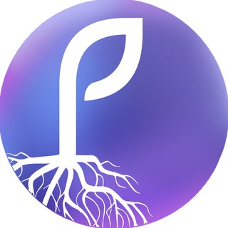 Логотип @the_mimosa_pudica - plants' curator