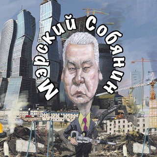 Логотип @the_mo4 - Мэрский Собянин