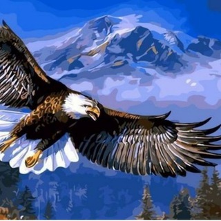 Логотип @the_nature_of_dagestan - ПРИРОДА ДАГЕСТАНА 🏕🏔