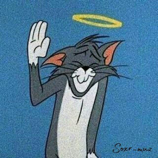 Логотип @the_soxr_muz - Сохры | Музыка ♥🔕