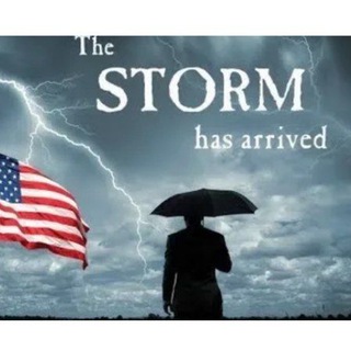 Логотип @the_storm_q17 - The Storm