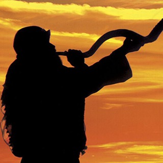 Логотип @the_true_israelites - The true Israelites of old (DSCI)