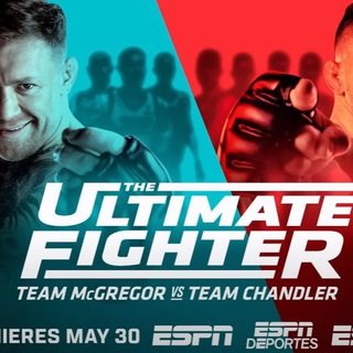 Логотип @the_ultimate_fighter - THE ULTIMATE FIGHTER
