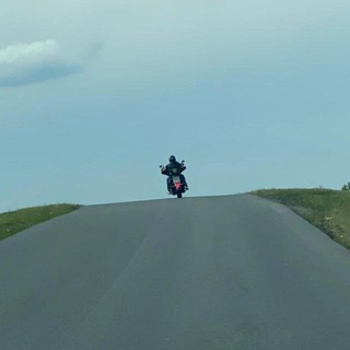 Логотип @the_world_around_us - The world around us🦊🌍🦊