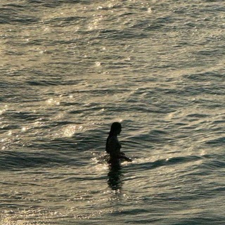 Логотип @theadochka - Áda