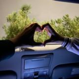 Логотип @theamor_sh - .