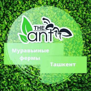 Логотип @theantuz - theant.uz
