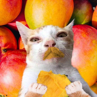 Логотип @thebadmemes - Shitposting Maracaton 2: The Bad Memes