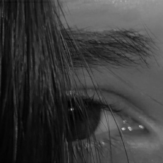 Логотип @thebark1 - 𝑩𝒁.