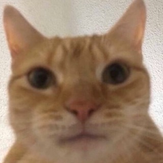 Логотип @thebcat - cat
