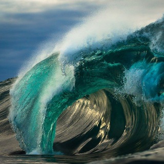 Логотип @thebeautyoftheocean - Красоты океана