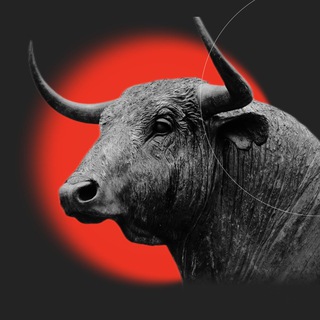 Логотип @thebell_invest - Bell.Инвестиции