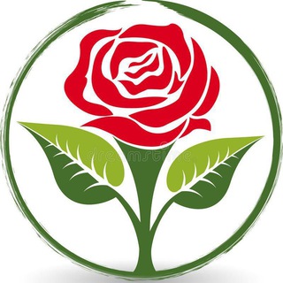 Логотип @thebestflowers1 - Цветы в доме