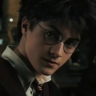 Логотип @theboywhosurvivedd - Harry Potter.📖