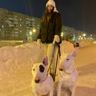 Логотип @thebullka - два хвоста 🫂