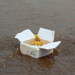 Логотип @thecatgo - куда пропал кот