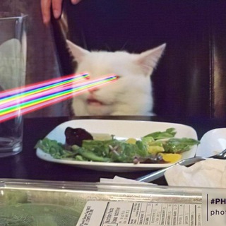 Логотип @thecatisfull - Кот сыт!