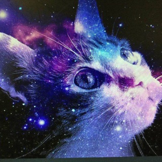 Логотип @thecatslife - The cat's life