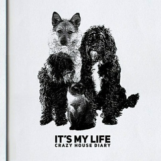 Логотип @thecrazyhousediary - CrazyHouseDiary • Смоленск • Спасение животных