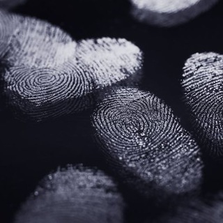 Логотип @thecrime77dinner - УЖИН С КРИМИНАЛИСТОМ