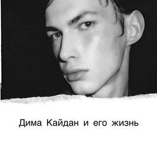 Логотип @thedimakaidan - Кайдан и его жизнь