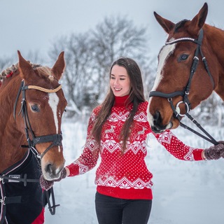Логотип @theequestrianstyle - The Equestrian Style