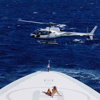 Логотип @thefishdiaries - Настя Рыбка | The Fish Diaries