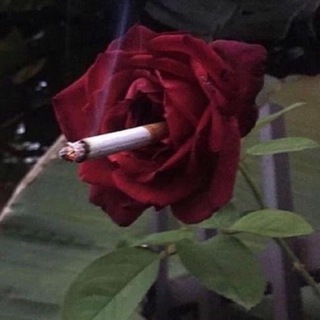 Логотип @thefloatingalaxy - sea & wine