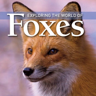 Логотип @thefoxtalks - 🦊 Fox Talks ❤️ 🇺🇦