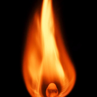 Логотип @thegreatawakecoach - AWAKE 101 | The Awake Coach