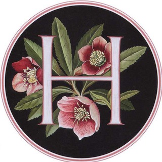 Логотип @theharmonychat - The chat