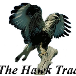 Логотип @thehawktrader_lengua - theHawkTrader Antonio Lengua